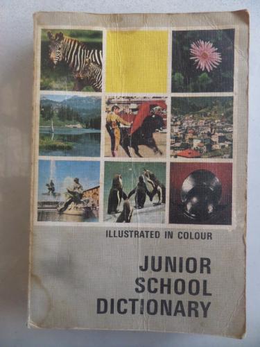 Junior School Dictionary