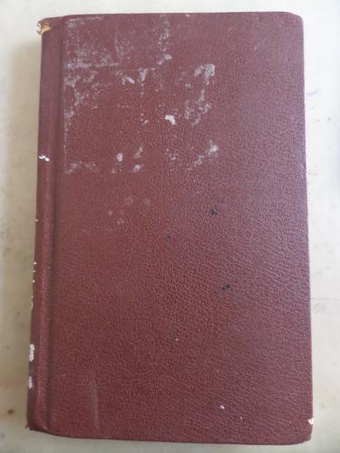 Beyaz Yele Rene Guillot