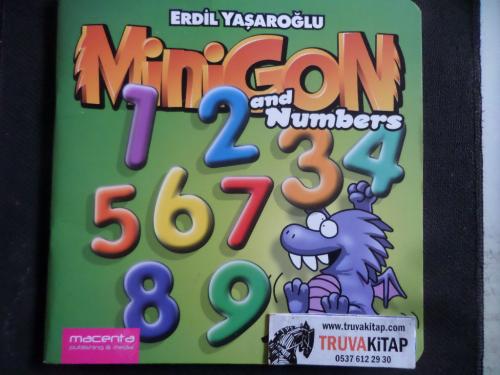 Minigon and Numbers