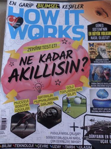 How It Works 2023 / 46 - Ne Kadar Akıllısın