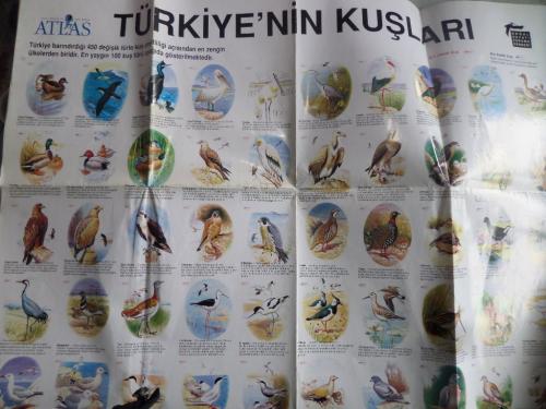 Türkiye'nin Kuşları