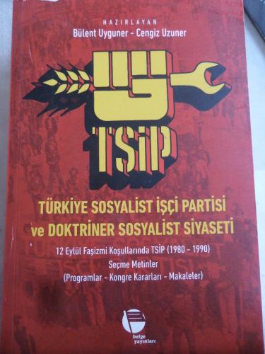 Türkiye Sosyalist İşçi Partisi ve Doktriner Sosyalist Siyaseti 2. Cilt