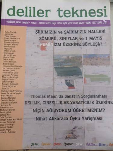 Deliler Teknesi 2012 / 33