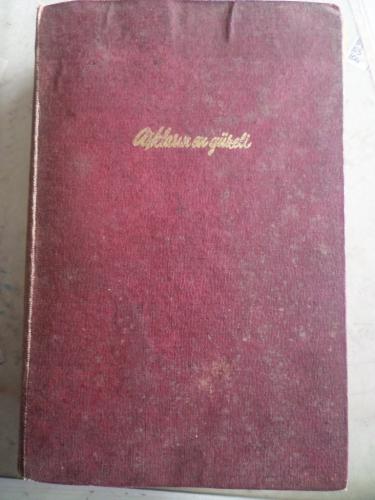 Aşkların En Güzeli Emile Zola