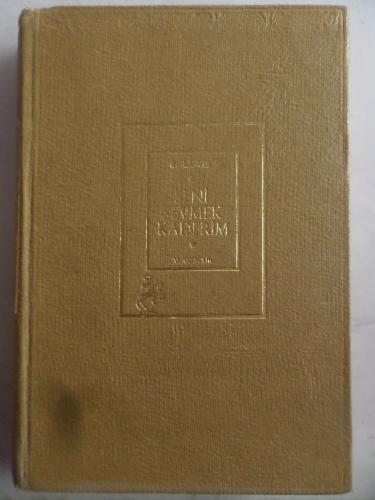 Seni Sevmek Kaderim Sinclair Lewis