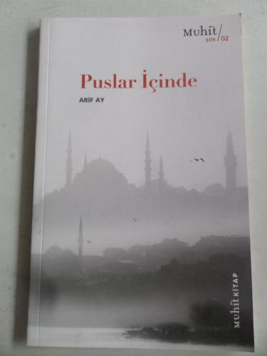 Puslar İçinde