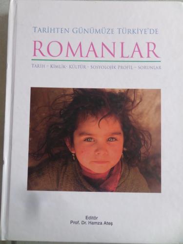 Tarihten Günümüze Türkiye'de Romanlar