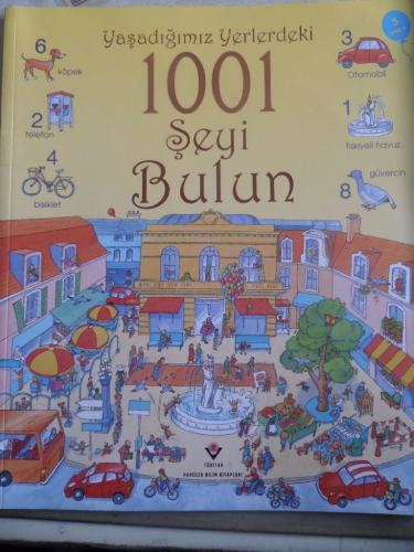 Yaşadığımız Yerlerdeki 1001 Şeyi Bulun Anna Milbourne