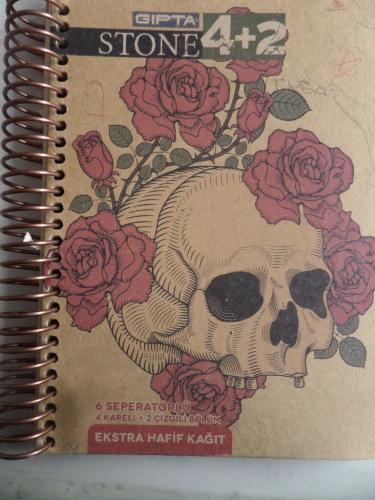 Gıpta 6 Seperatörlü 4 Kareli + 2 Çizgili Bölüm