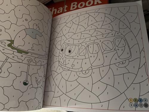 Sayılarla Boyama Steve Morris