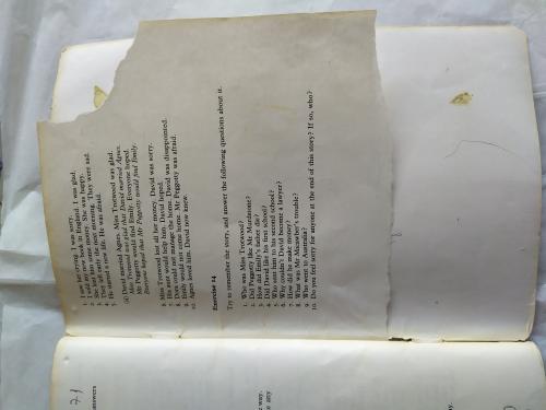 David Copperfield David Copperfield