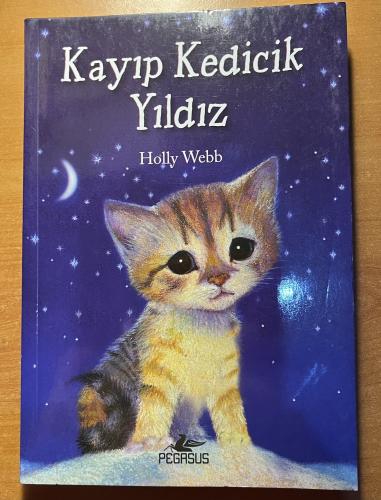 Kayıp Kedicik Yıldız Holly Webb
