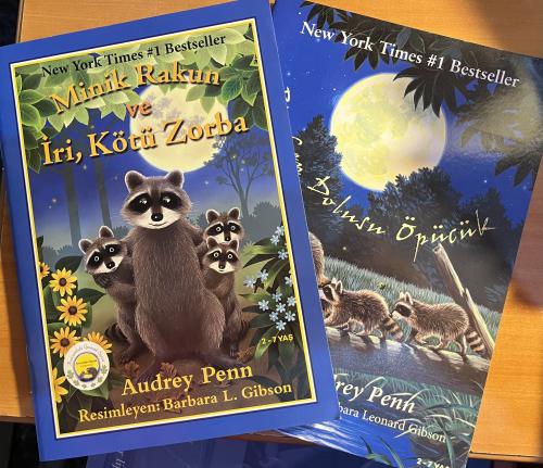 New York Times #1 Bestseller (2 Kitap)