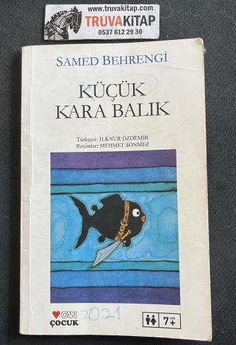 Küçük Kara Balık
