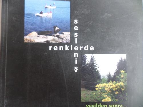 Maviden Önce Yeşilden Sonra Renklerde Sesleniş - PİRAZİZ