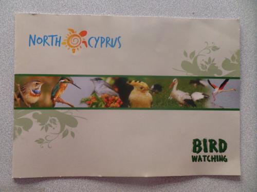 North Cyprus Bird Watching