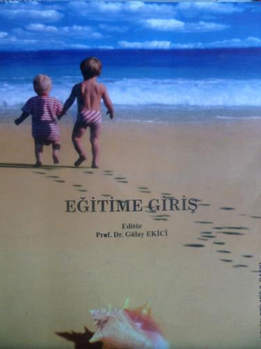 Eğitime Giriş Gülay Ekici