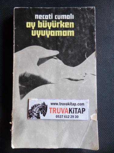 Ay Büyürken Uyuyamam