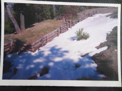 Kartpostal / Türk Siperleri