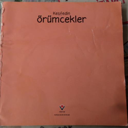 Keşfedin Örümcekler