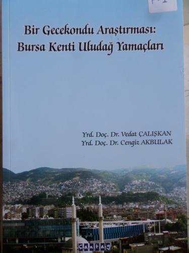 Bir Gecekondu Araştırması: Bursa Kenti Uludağ Yamaçları