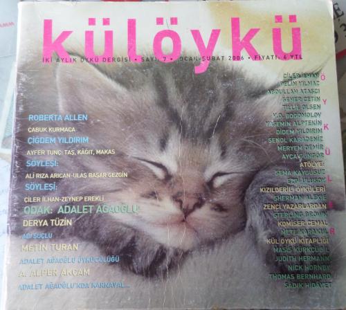 Kül Öykü 2006 / 7