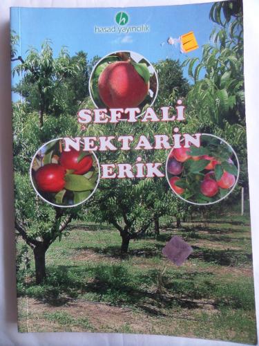 Şeftali Nektarin Erik