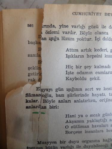 Türk Şiiri Mehmet Kaplan