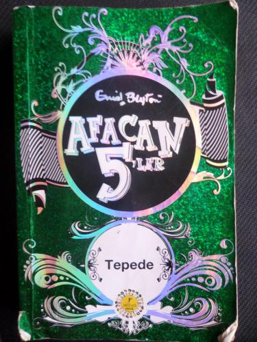 Afacan 5'ler 16 - Tepede Enid Blyton