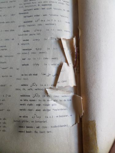 Osmanlıca - Türkçe Ansiklopedik Lugat Ferit Devellioğlu