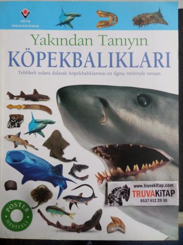 Yakından Tanıyın Köpekbalıkları