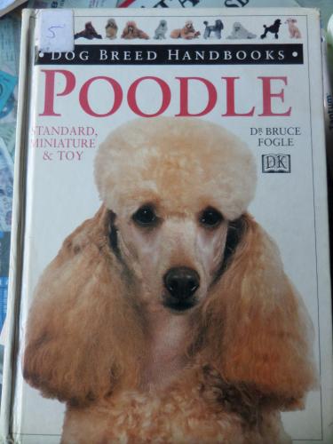 Poodle
