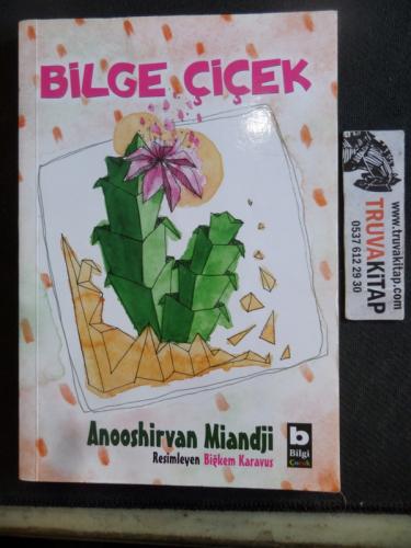 Bilge Çiçek