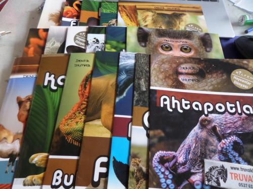 Bilfen Hayvanlar Dünyası / 18 Adet