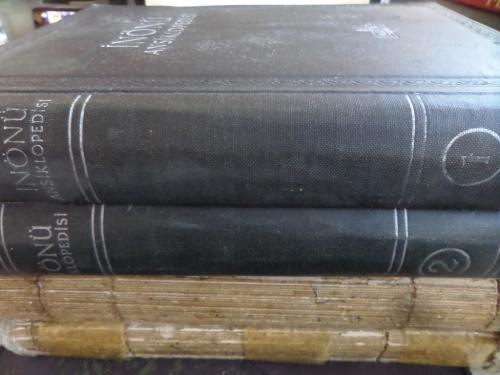 İnönü Ansiklopedisi / 4 Cilt