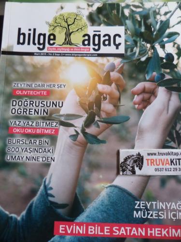 Bilge Ağaç 2019 / 3