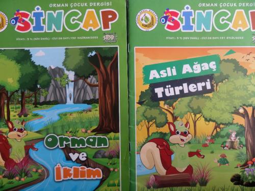 Sincap Orman Çocuk Dergisi  / 2 Adet