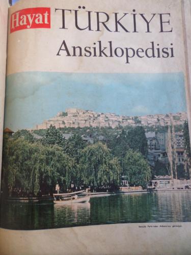Hayat Türkiye Ansiklopedisi