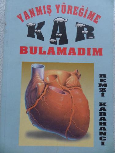 Yanmış Yüreğime Kar Bulamadım
