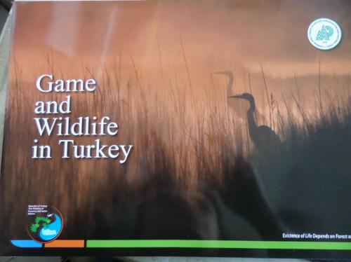 Game and Willife in Turkey
