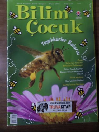 Bilim Ve Çocuk 2012 / 173 - Teşekkürler Balarısı