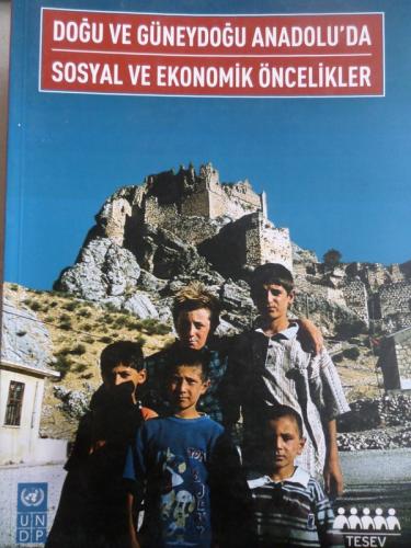 Doğu ve Güneydoğu Anadolu'da Sosyal ve Ekonomik Öncelikler