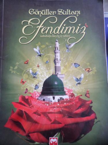 Gönüller Sultanı Efendimiz