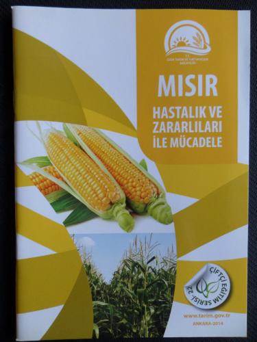 Mısır Hastalık ve Zararlıları ile Mücadele