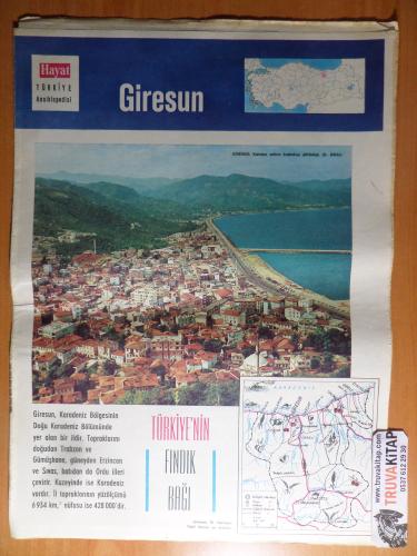 Hayat Türkiye Ansiklopedisi İl Fasikülü Giresun - Türkiye'nin Fındık B