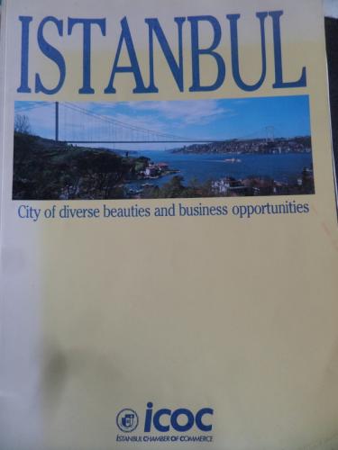 Istanbul City Of Diverse Beauties and Business Opportunities