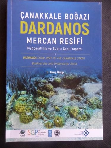Çanakkale Boğazı Dardanos Mercan Resifi - Biyoçeşitlilik ve Sualtı Canlı Yaşamı