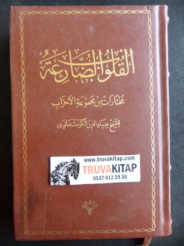 Arapça / El-Kulubü'd-Daria