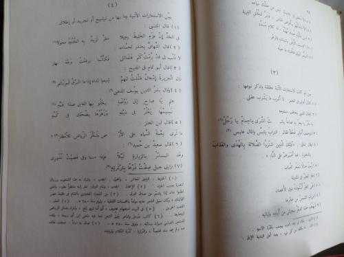 Arapça / El Belagatül Vadıha ( 2 Cilt Tek Kitap)