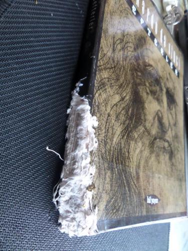 Leonardo Da Vinci Defterler